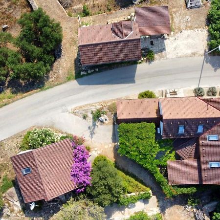Apartment One فيس المظهر الخارجي الصورة